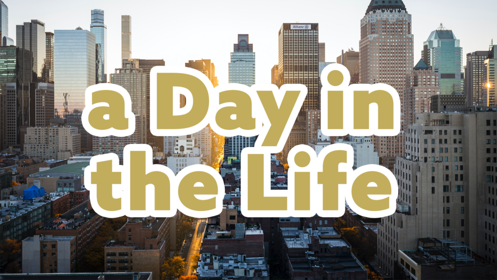 A Day in the Life