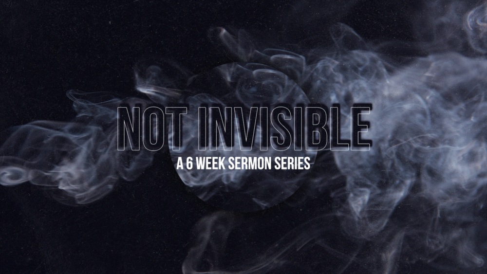 Not Invisible