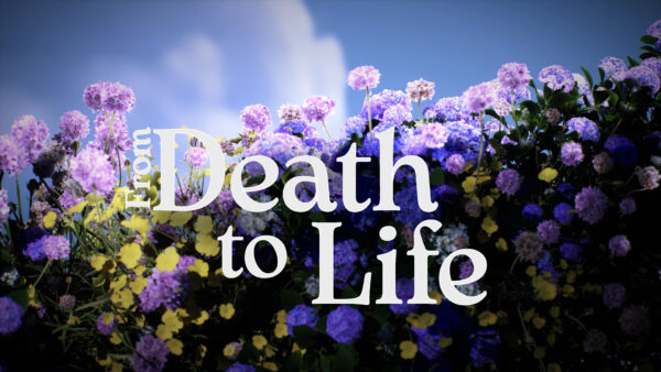 From Death to Life